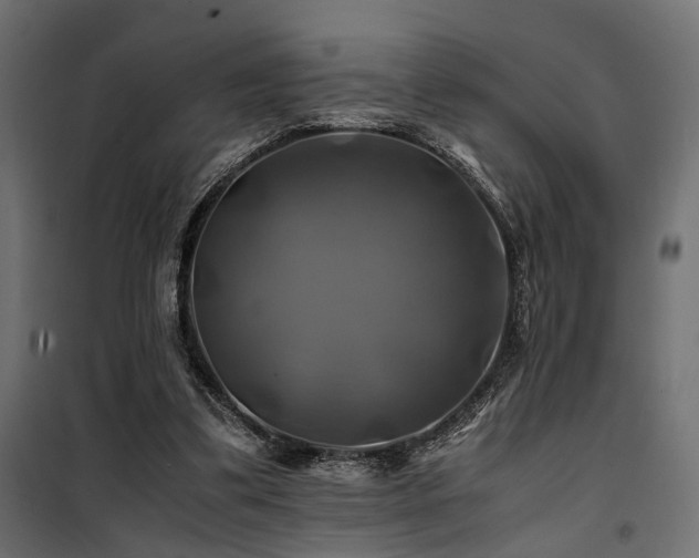 X0000100760299200806191214