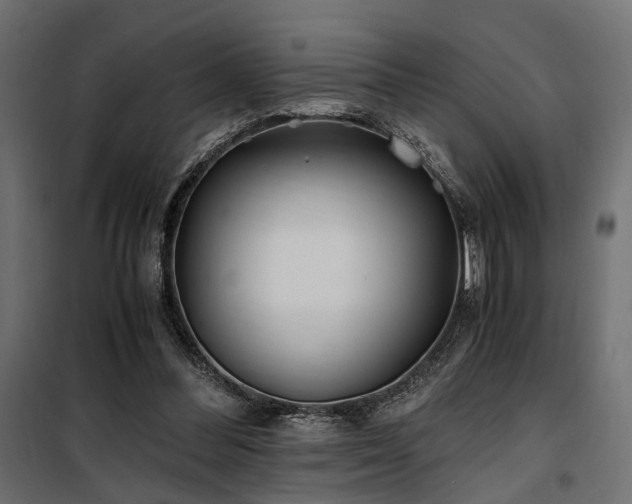 X0000100760300200806191214