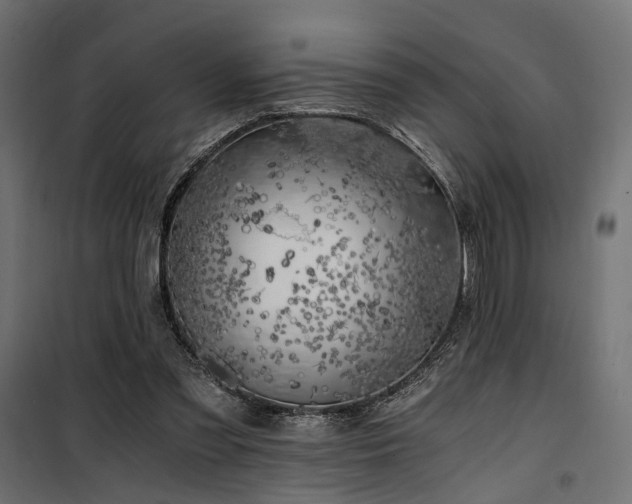 X0000100760301200806191214