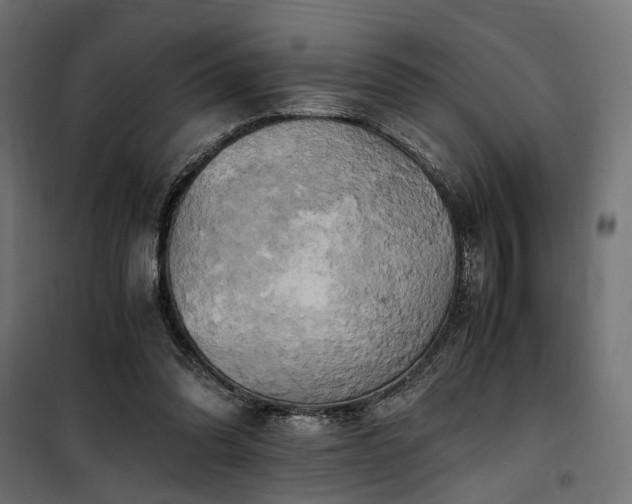 X0000100760302200806191214