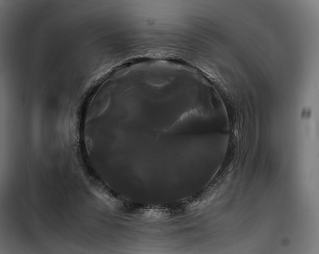 X0000100760303200806191214