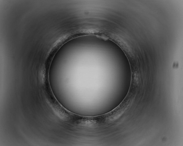 X0000100760304200806191214