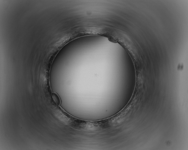 X0000100760305200806191214