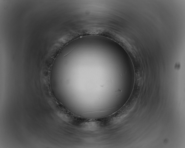 X0000100760307200806191214