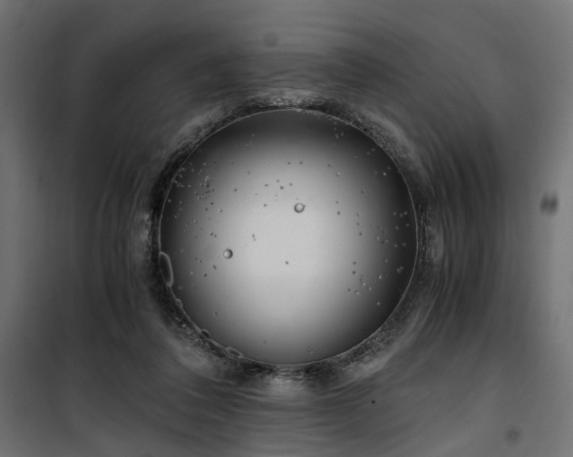 X0000100760308200806191214