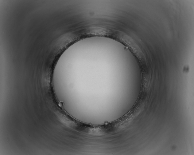 X0000100760309200806191214