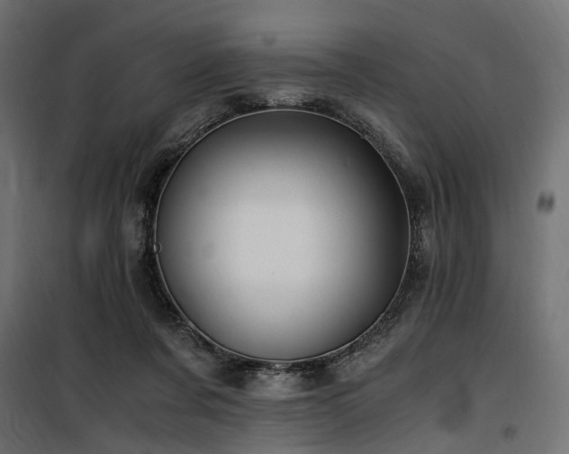 X0000100760311200806191214