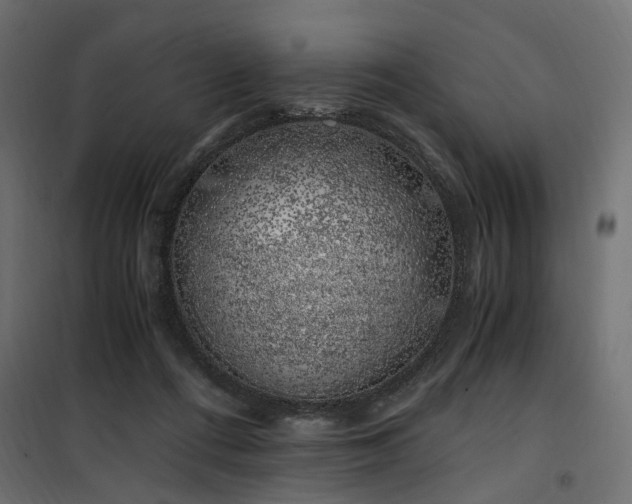 X0000100760312200806191214