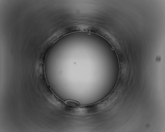 X0000100760313200806191214