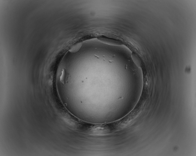 X0000100760315200806191214