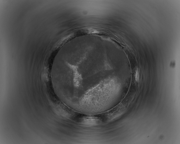 X0000100760316200806191214