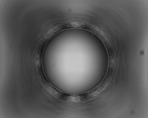 X0000100760317200806191214