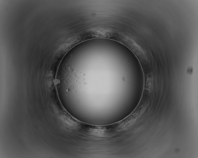 X0000100760318200806191214