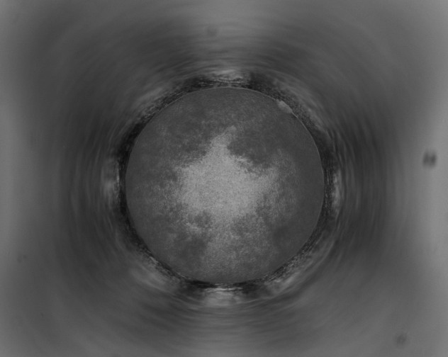 X0000100760320200806191214