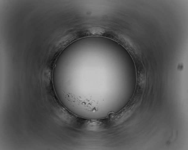 X0000100760321200806191214