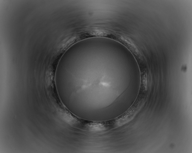 X0000100760322200806191214