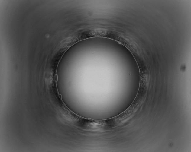 X0000100760323200806191213