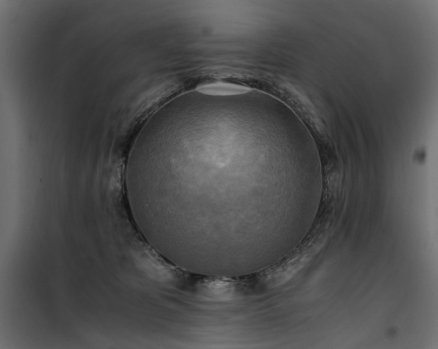 X0000100760325200806191213