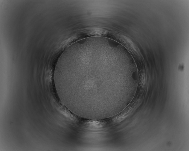 X0000100760326200806191213