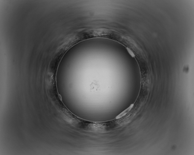 X0000100760327200806191213