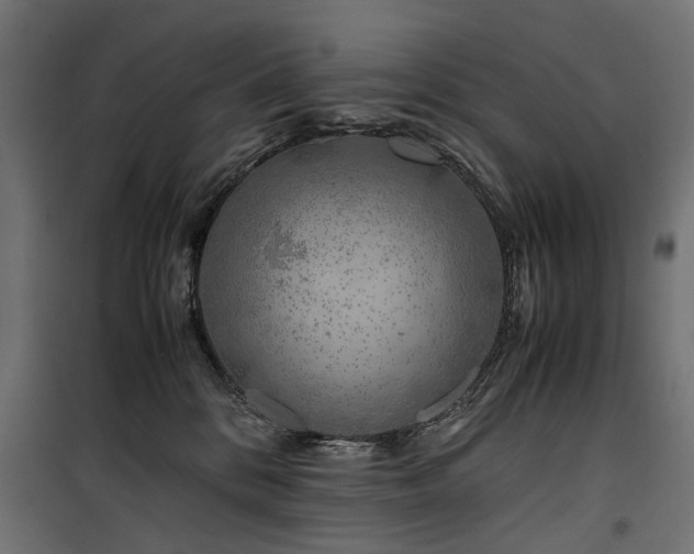 X0000100760328200806191213