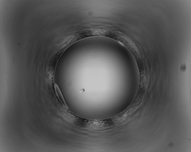 X0000100760329200806191213