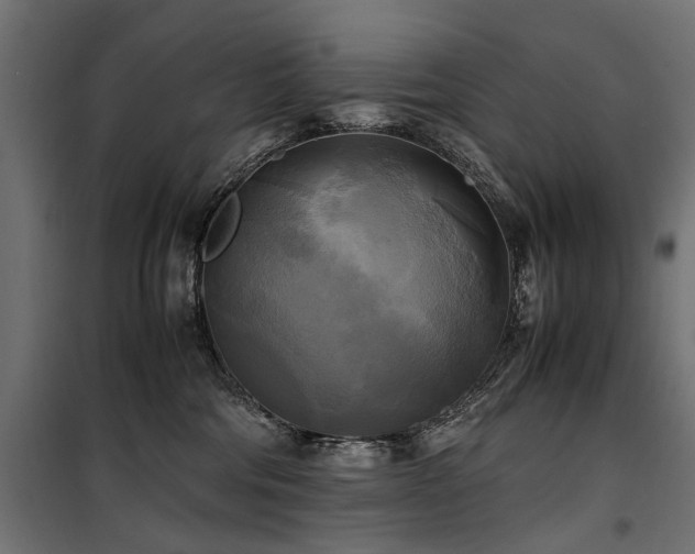 X0000100760330200806191213