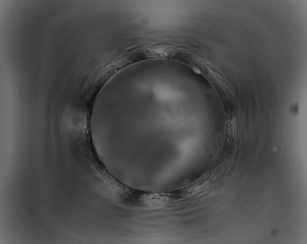 X0000100760331200806191213