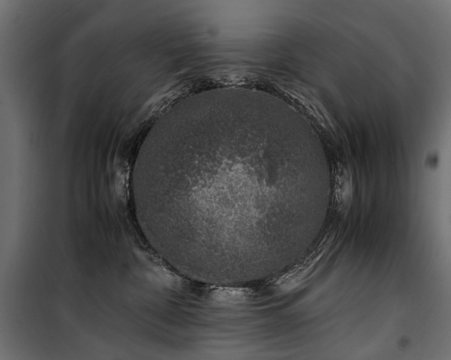 X0000100760332200806191213