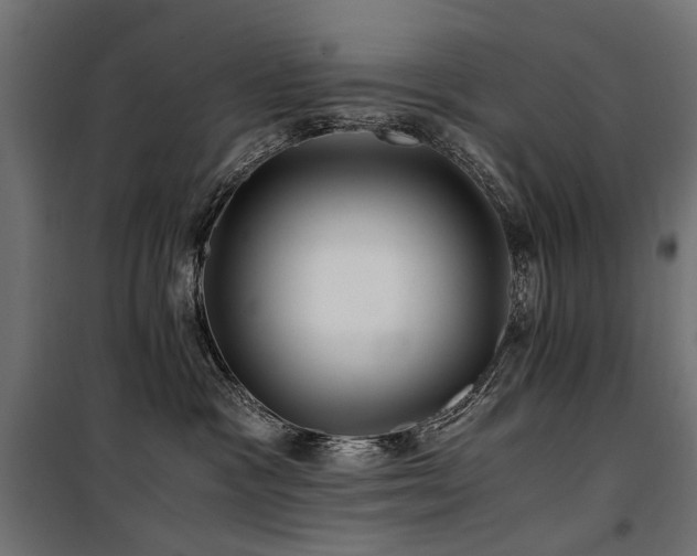 X0000100760333200806191213