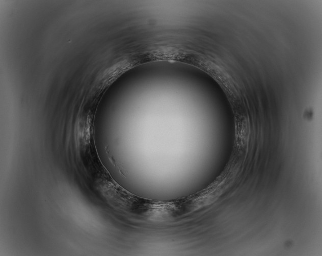 X0000100760334200806191213