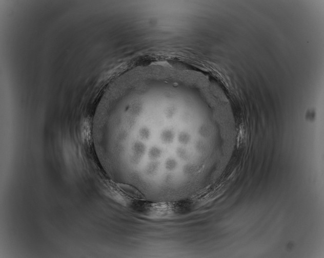 X0000100760335200806191213