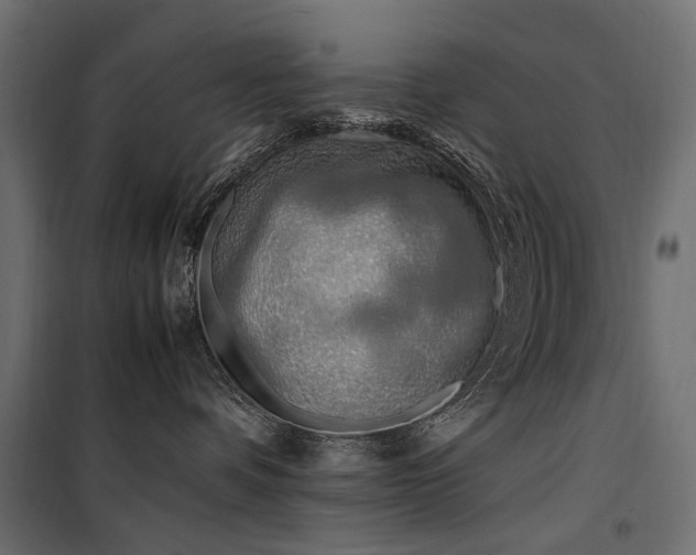 X0000100760336200806191213