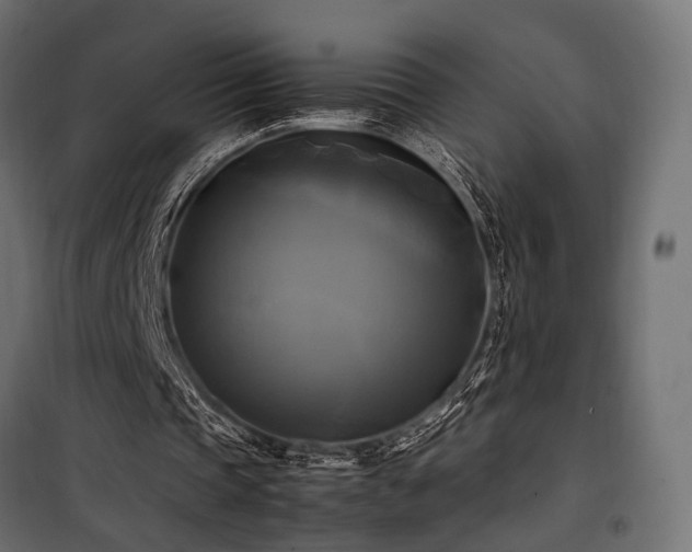 X0000100760337200806191212