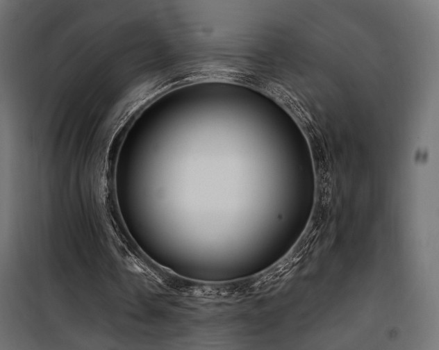 X0000100760338200806191212