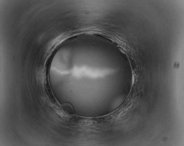 X0000100760339200806191212