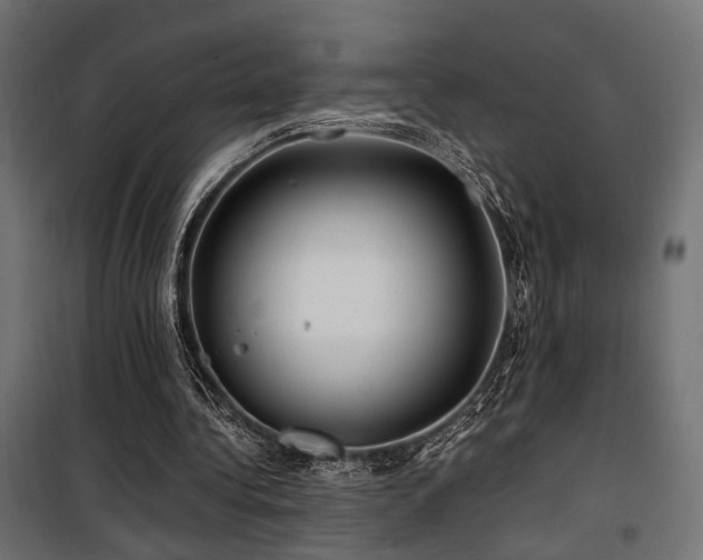 X0000100760340200806191212