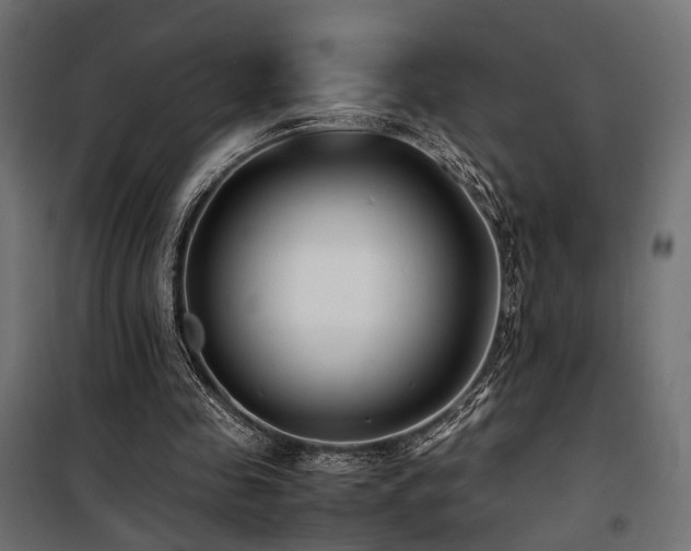 X0000100760341200806191212