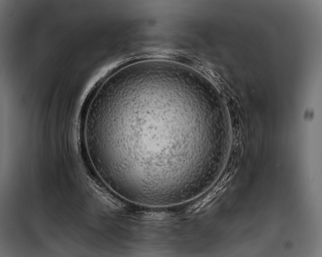 X0000100760342200806191213