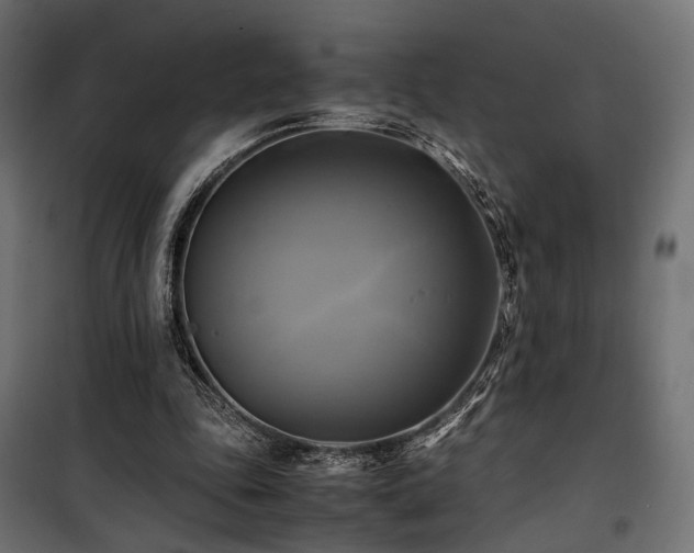 X0000100760343200806191213