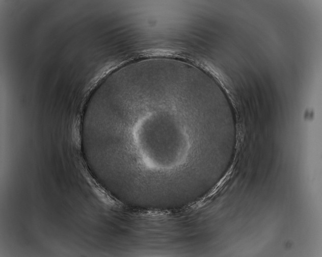 X0000100760345200806191213