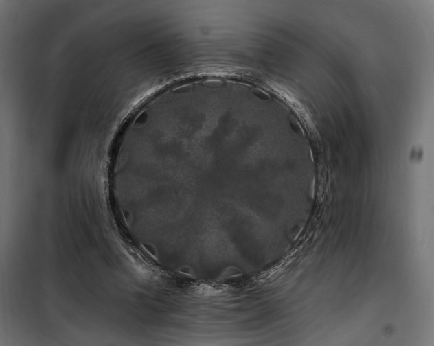 X0000100760346200806191213