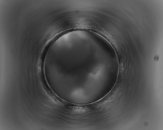 X0000100760347200806191213