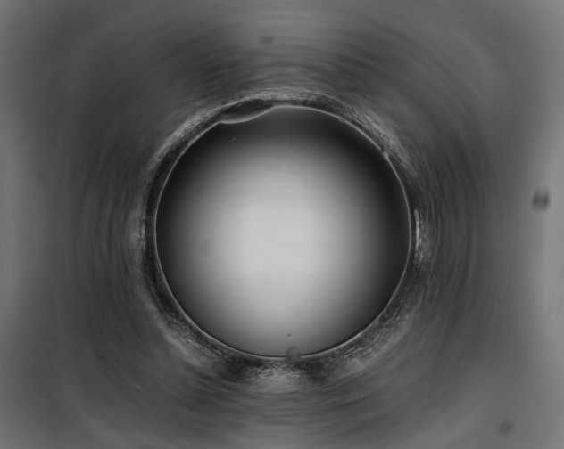 X0000100760348200806191213