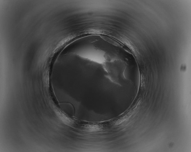 X0000100760349200806191213