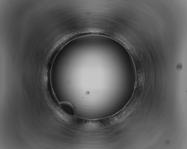 X0000100760350200806191213