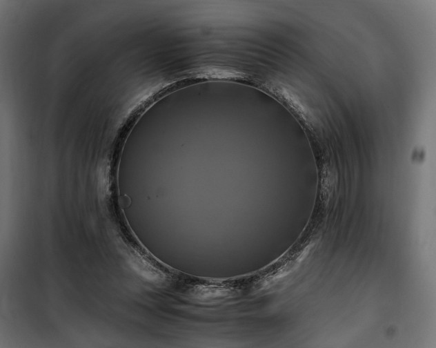 X0000100760351200806191213