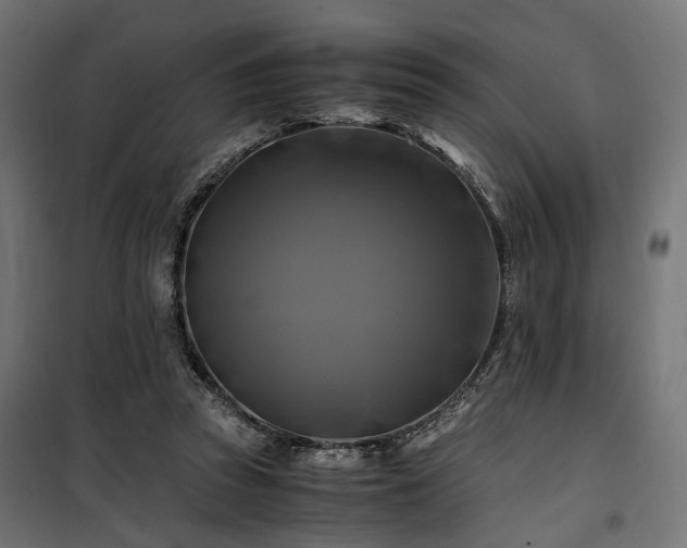 X0000100760353200806191213