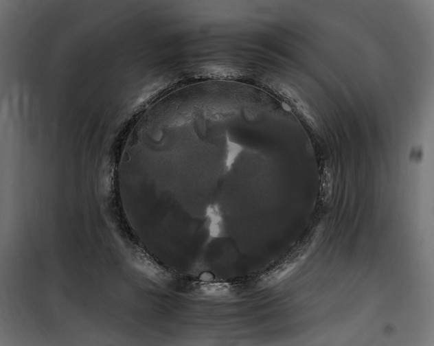 X0000100760355200806191213