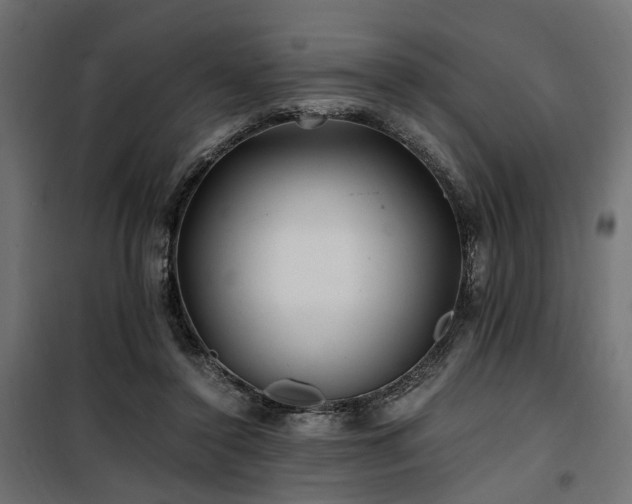 X0000100760356200806191213